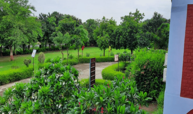 Rai School of Management Studies Ahmedabad Campus photo 5